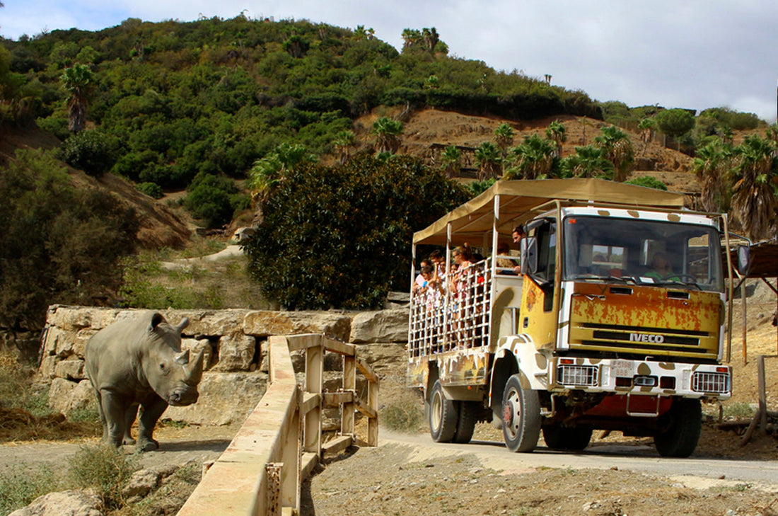 Selwo Aventura Estepona: Tickets, Animals & Family Visitor Guide
