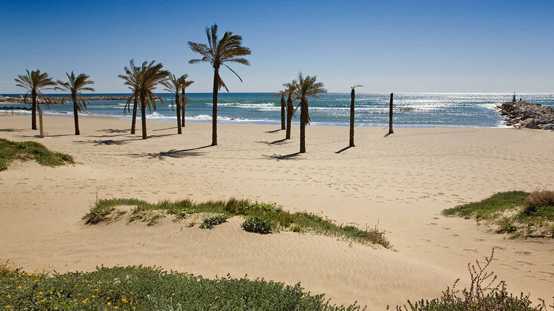 Playa de Cabopino: Marbella’s Beach Between Dunes & Marina
