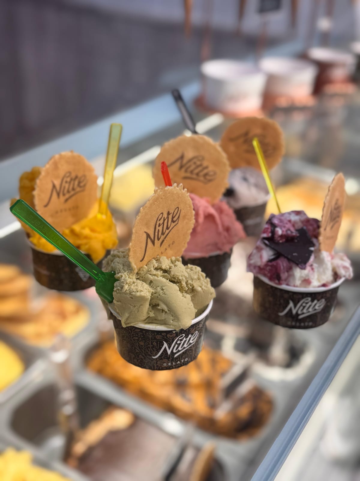 Nitte Gelato
