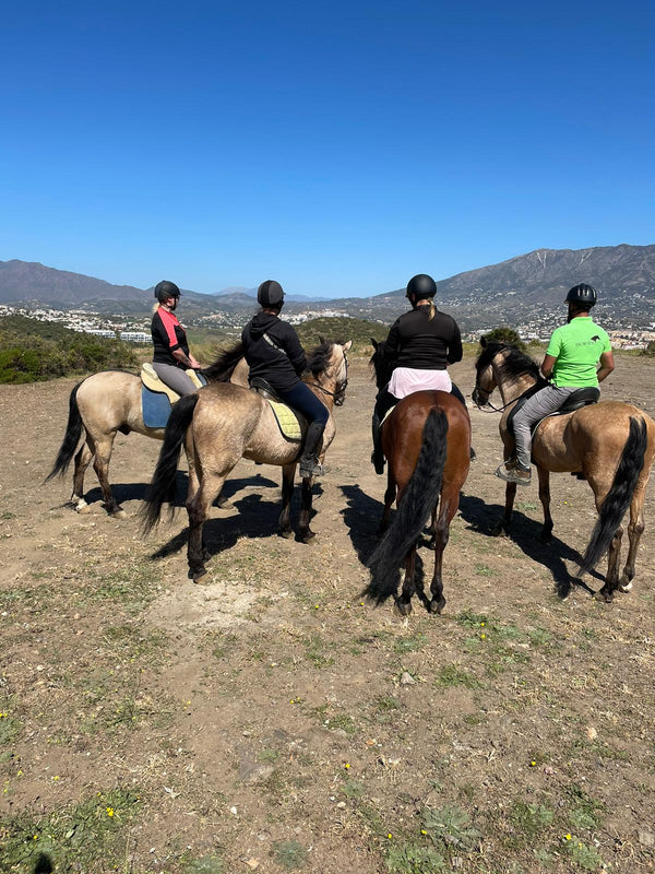Horse Trail Rides photo 3