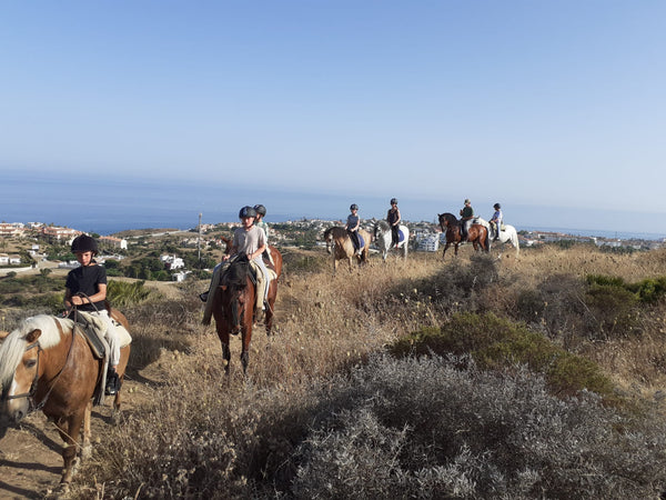 Horse Trail Rides