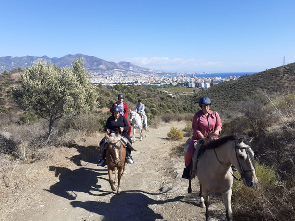 Horse Trail Rides photo 2