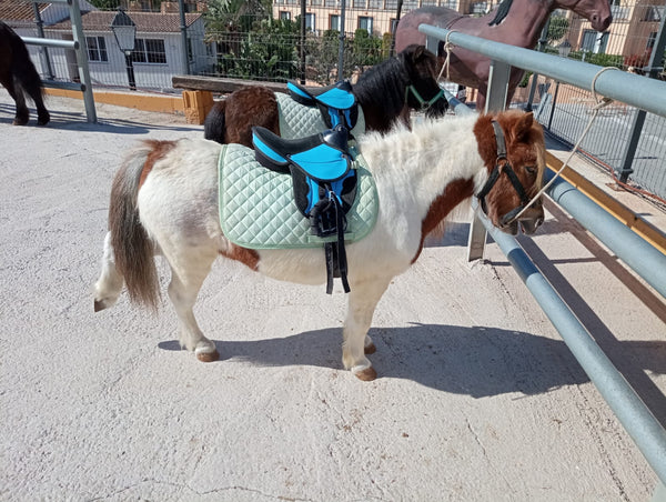 Pony Rides photo 2