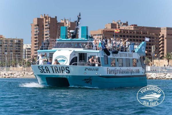 Dolphin Excursion photo 3
