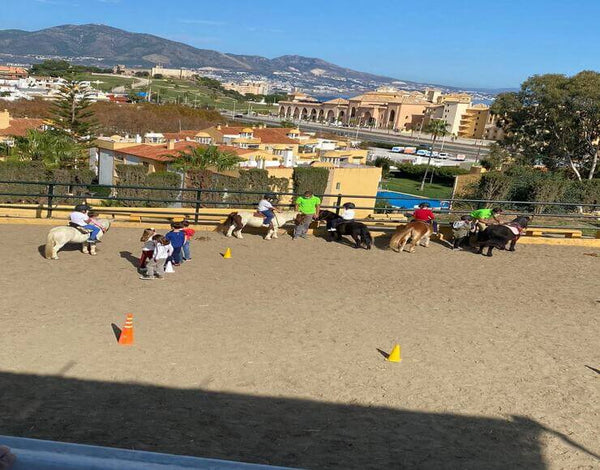 Pony Rides
